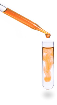 lab