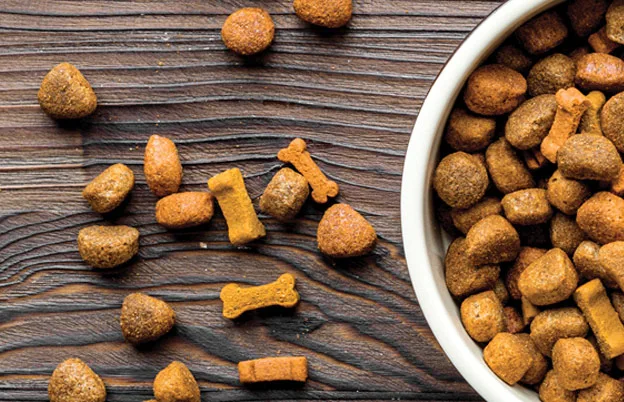 caramel colored kibble