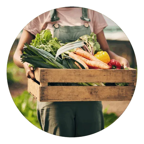 farmer with raw materials, food coloring raw materials