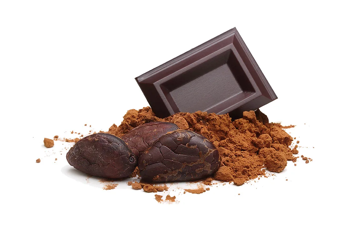 chocolate piece with powder and cocoa bean