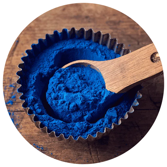 spirulina powder