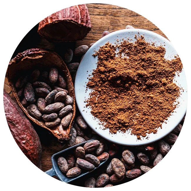 cocoa powder