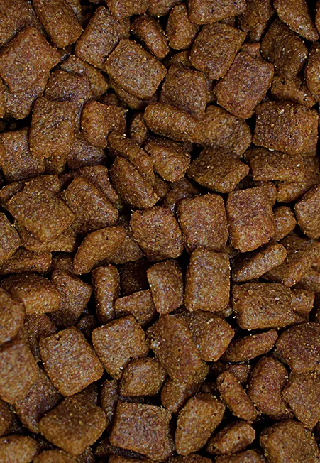 dark brown kibble