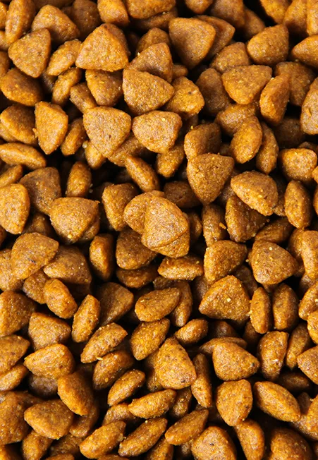 light brown kibble