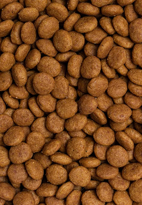 medium brown kibble