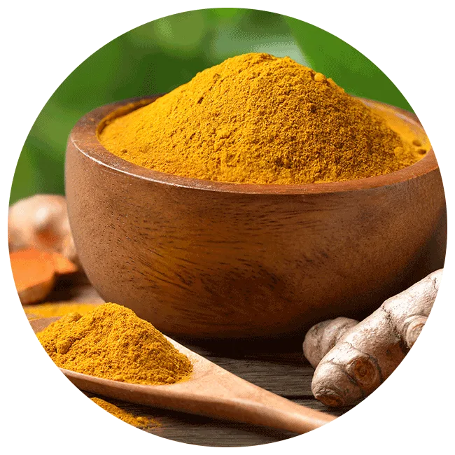 turmeric powder