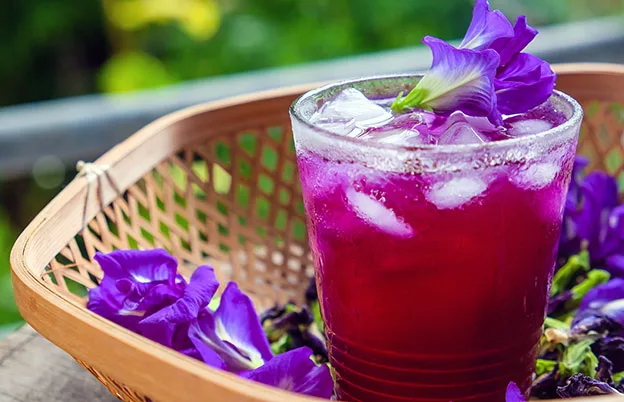 purple butterfly pea flower drink